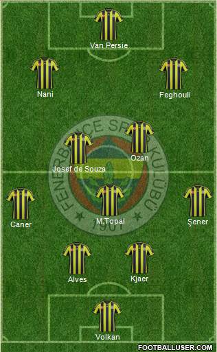 Fenerbahçe SK Formation 2015