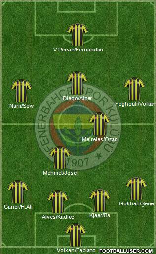Fenerbahçe SK Formation 2015