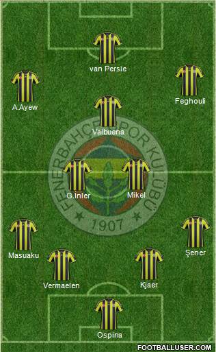 Fenerbahçe SK Formation 2015