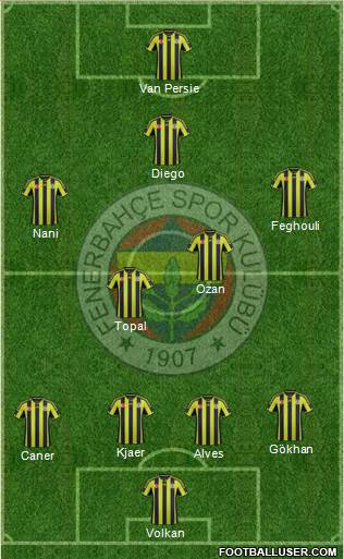 Fenerbahçe SK Formation 2015