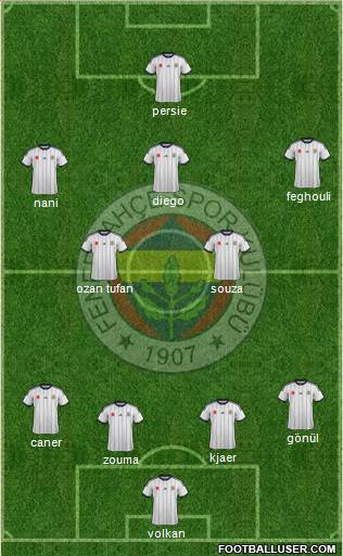 Fenerbahçe SK Formation 2015