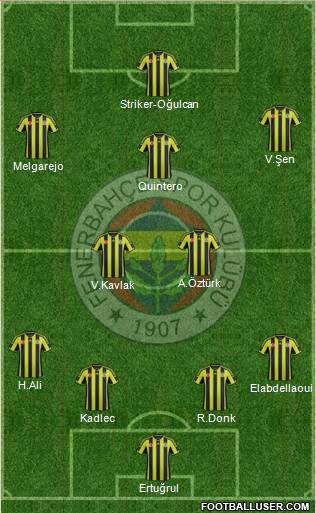 Fenerbahçe SK Formation 2015