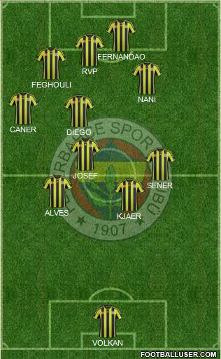 Fenerbahçe SK Formation 2015
