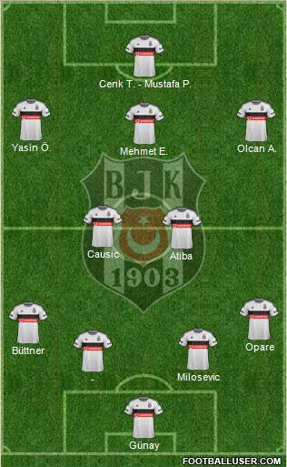 Besiktas JK Formation 2015