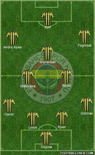 Fenerbahçe SK Formation 2015