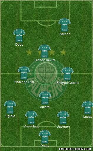SE Palmeiras Formation 2015