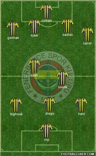 Fenerbahçe SK Formation 2015