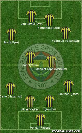 Fenerbahçe SK Formation 2015