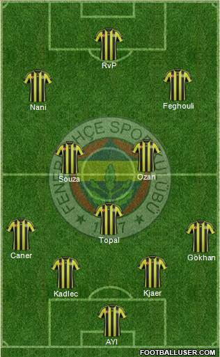 Fenerbahçe SK Formation 2015