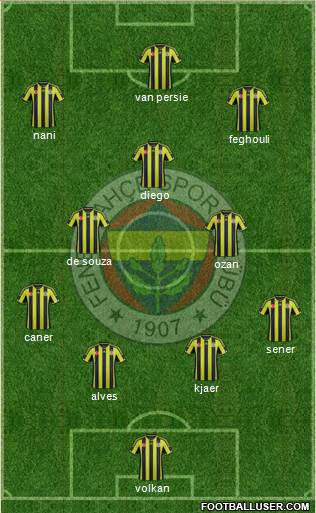 Fenerbahçe SK Formation 2015