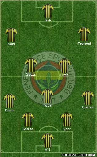 Fenerbahçe SK Formation 2015