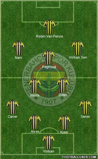 Fenerbahçe SK Formation 2015