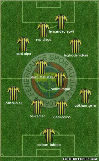 Fenerbahçe SK Formation 2015
