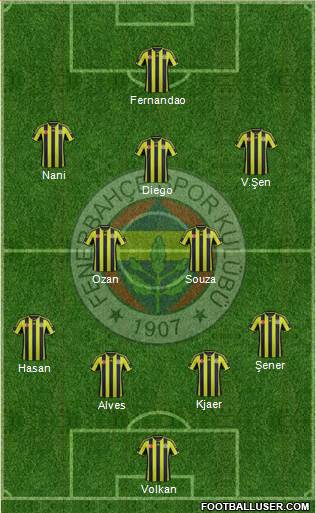 Fenerbahçe SK Formation 2015