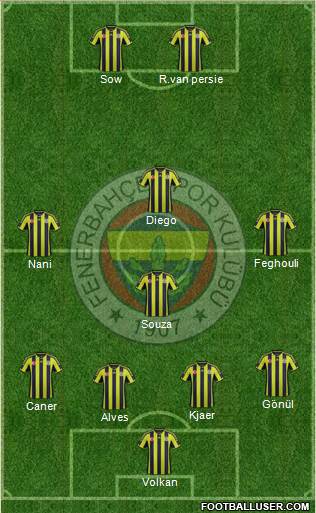 Fenerbahçe SK Formation 2015