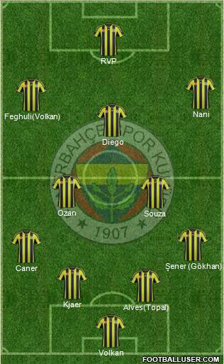 Fenerbahçe SK Formation 2015