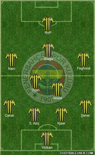 Fenerbahçe SK Formation 2015