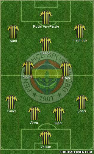 Fenerbahçe SK Formation 2015