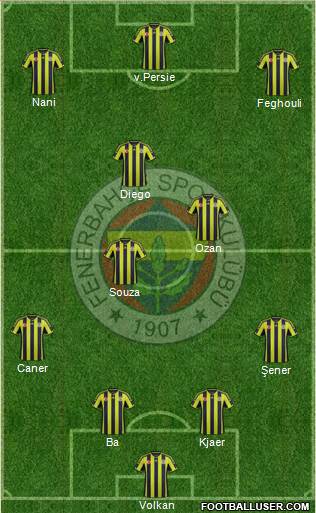 Fenerbahçe SK Formation 2015