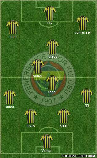 Fenerbahçe SK Formation 2015