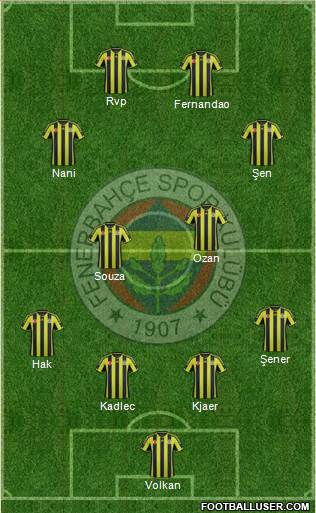 Fenerbahçe SK Formation 2015
