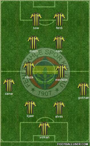 Fenerbahçe SK Formation 2015
