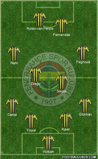 Fenerbahçe SK Formation 2015