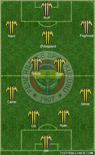 Fenerbahçe SK Formation 2015