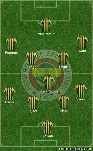 Fenerbahçe SK Formation 2015