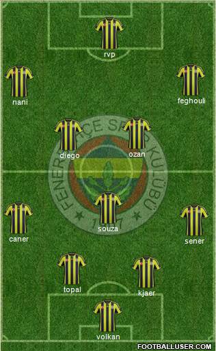 Fenerbahçe SK Formation 2015