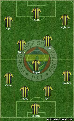 Fenerbahçe SK Formation 2015