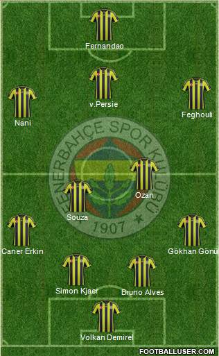 Fenerbahçe SK Formation 2015