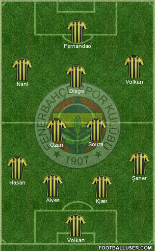Fenerbahçe SK Formation 2015