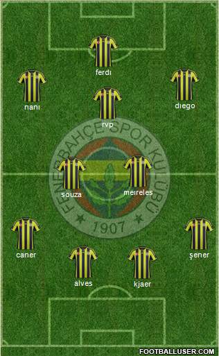 Fenerbahçe SK Formation 2015