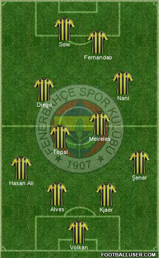 Fenerbahçe SK Formation 2015