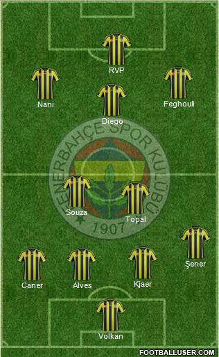 Fenerbahçe SK Formation 2015