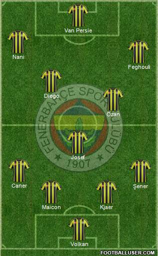 Fenerbahçe SK Formation 2015