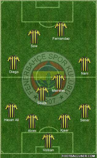 Fenerbahçe SK Formation 2015