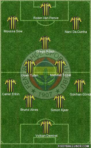 Fenerbahçe SK Formation 2015