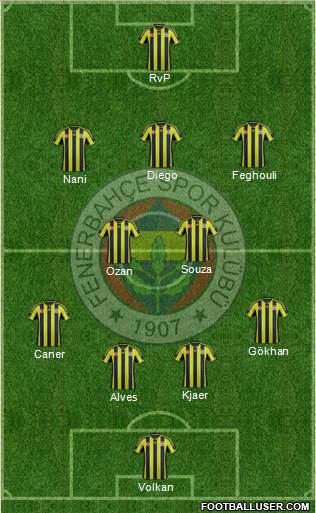 Fenerbahçe SK Formation 2015