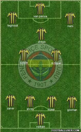 Fenerbahçe SK Formation 2015