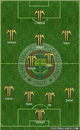 Fenerbahçe SK Formation 2015