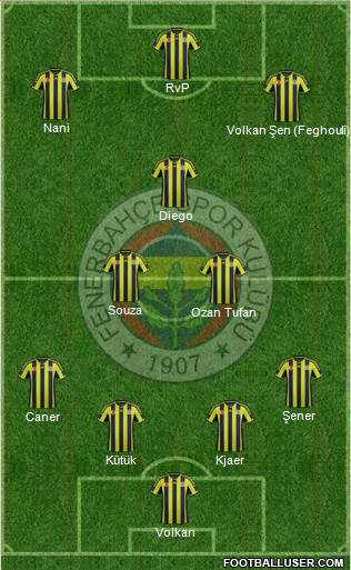 Fenerbahçe SK Formation 2015