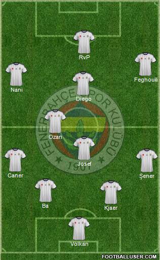 Fenerbahçe SK Formation 2015