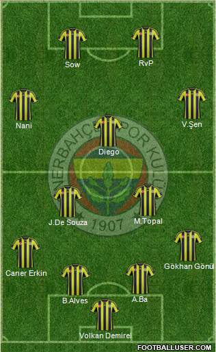 Fenerbahçe SK Formation 2015