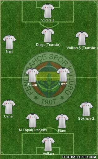 Fenerbahçe SK Formation 2015