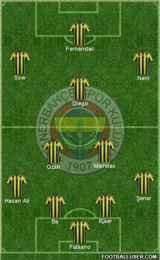 Fenerbahçe SK Formation 2015