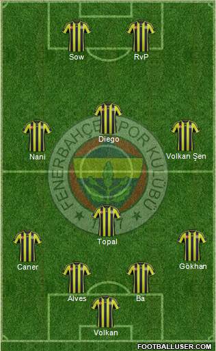 Fenerbahçe SK Formation 2015