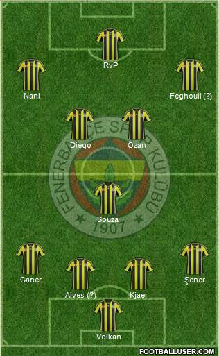 Fenerbahçe SK Formation 2015