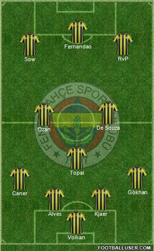 Fenerbahçe SK Formation 2015